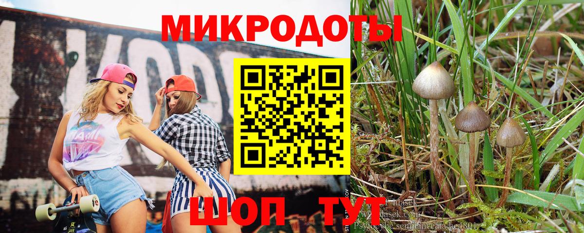 Псилоцибиновые грибы Cubensis  Вход с VPN  Белебей 